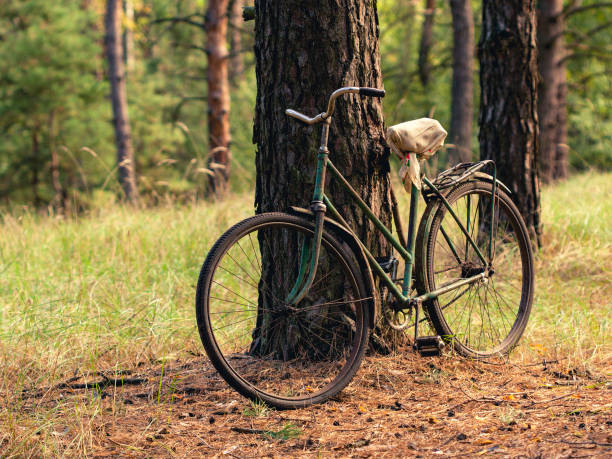 istock Vintage bike 1049956264
