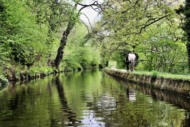 A view of the canal at Llangollen