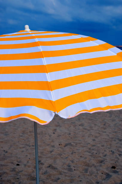 istock opened parasol on the beach in front of dark cloudy sky 1049969416