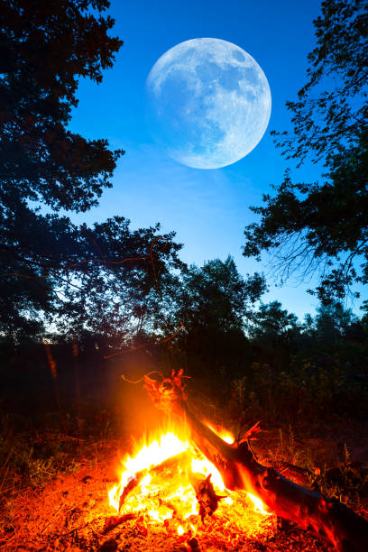 istock touristic camp fire in a forest at the twilight and half moon above 1049969446