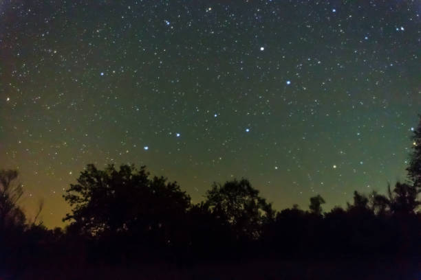 istock Ursa Major constellation on the night sky above a forest silhouette 1049969734