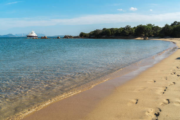 istock Yacht on the horizon on the beach 1049972476