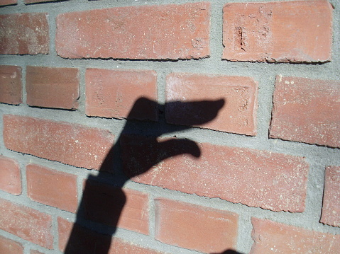 Chinese shadow game with one hand, against the light