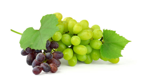 istock Fresh ripe juicy grapes isolated on white . 1049982482