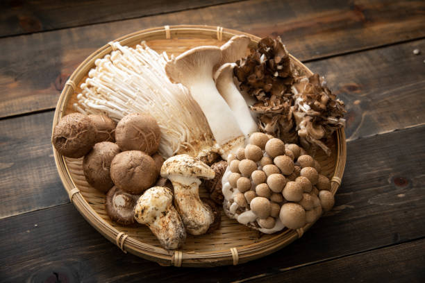 여러 일본 버섯 - edible mushroom 뉴스 사진 이미지