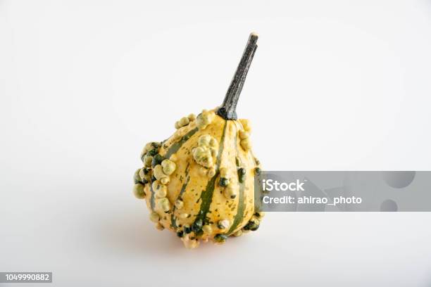 Isolated Gourds Mixed Pumpkin Stock Photo - Download Image Now - Agriculture, Autumn, Celebration