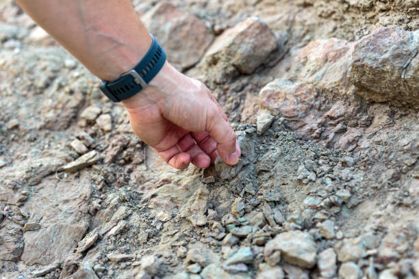 istock Man at archaeology site 1049994750