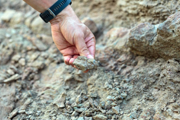 istock Man at archaeology site 1049994774