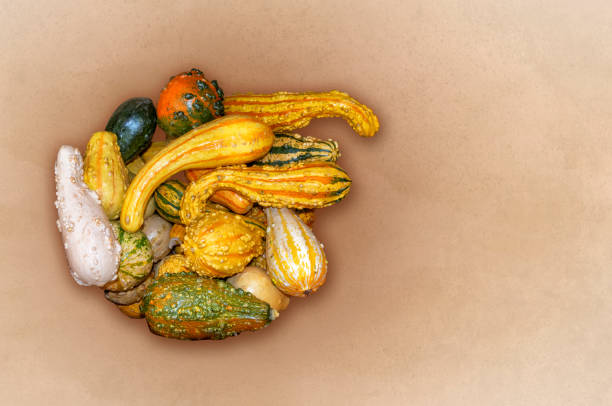 Harvest festival with autumn pumpkins and vegetables. Sale of agricultural crops on the outdoor market after the holiday
