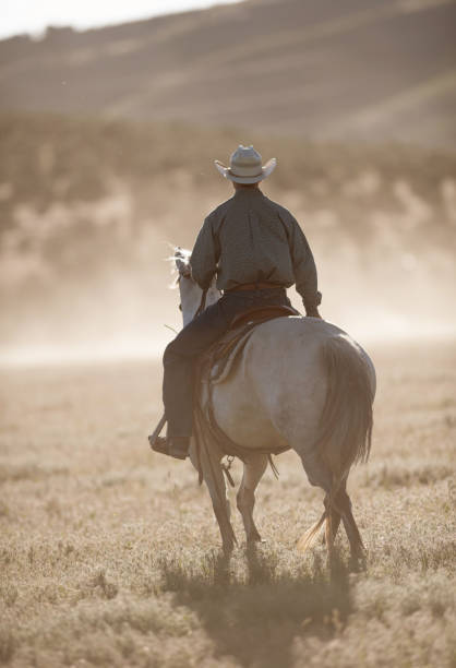 istock Cowboy at farm range 1049997414