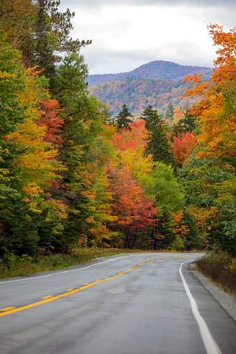 Autumn colors on a New England roadway.