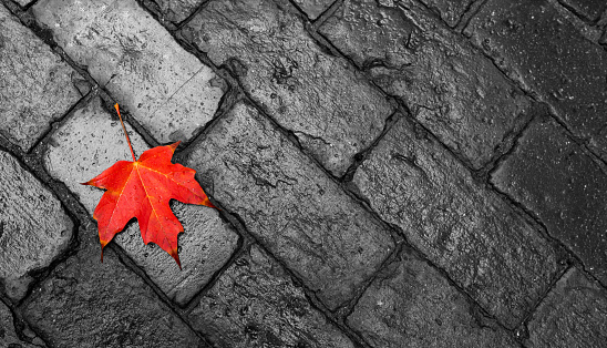 Autumn maple leaf and brick background.