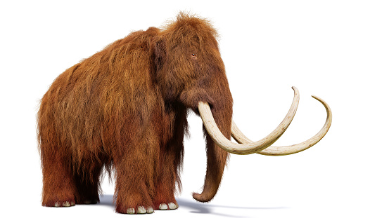 huge ice age animal, cutout on white ground