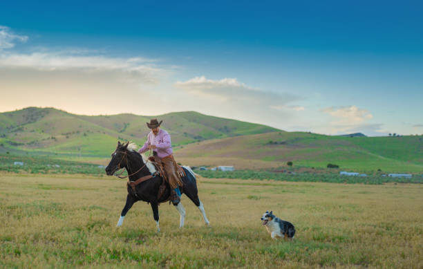 istock Senior cowboy horseback riding 1050000312