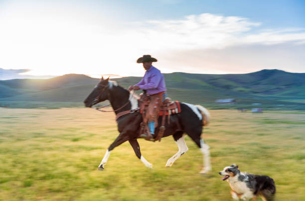 istock Senior cowboy horseback riding 1050000380