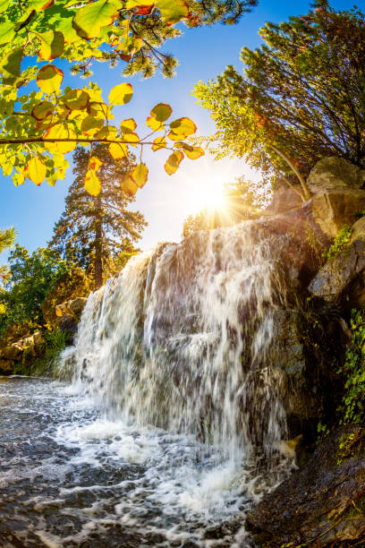 Landscape with waterfall in the forest and bright sun shining through the trees