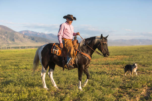 istock Senior cowboy horseback riding 1050002858