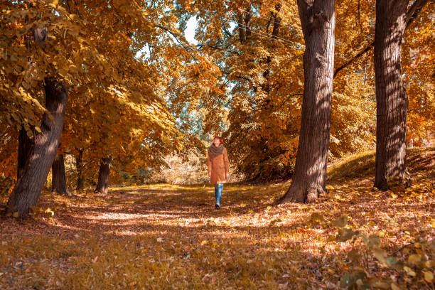 istock Smiling ginger girl in nature 1050006746