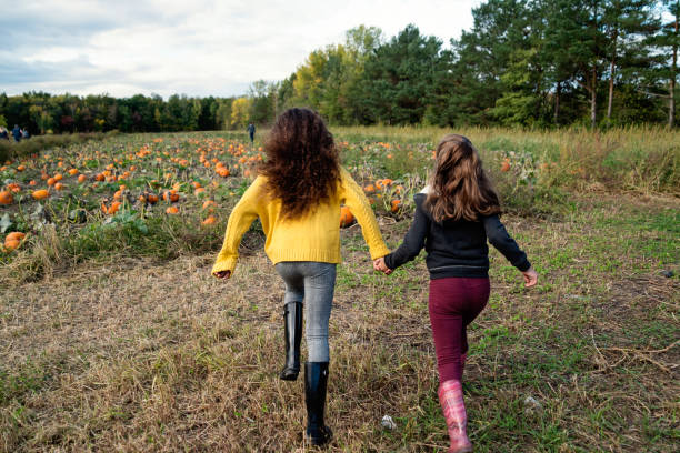 zwei kleine mädchen laufen in richtung kürbisbeet in einem feld. - pumpkin child little girls pumpkin patch stock-fotos und bilder