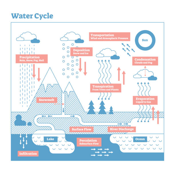 stockillustraties, clipart, cartoons en iconen met water vector illustratie cyclusdiagram. geo wetenschap ecosysteem regeling. - waterkringloop