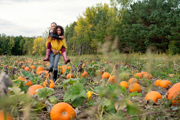 パンプキン パッチに便乗二人の少女。 - pumpkin child little girls pumpkin patch ストックフォトと画像