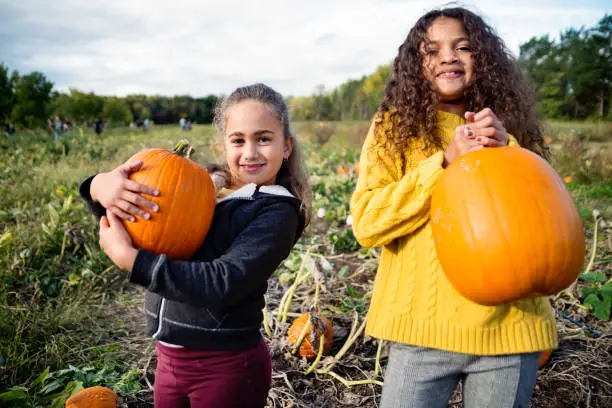 Photo of Two little girls picking pumpkins in field.