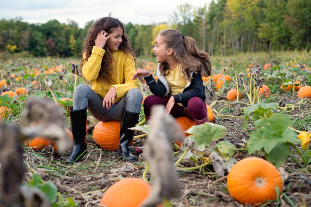 zwei kleine mädchen, die spaß in das kürbisfeld. - pumpkin child little girls pumpkin patch stock-fotos und bilder