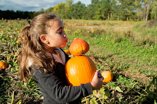 Adorable mixed-race little girl of elementary age picking up a pumpkin for Halloween, directly from the field. She is wearing warm clothes on a sunny autumn day, and is kissing the small pumpkin. Horizontal waist up outdoors shot with copy space.