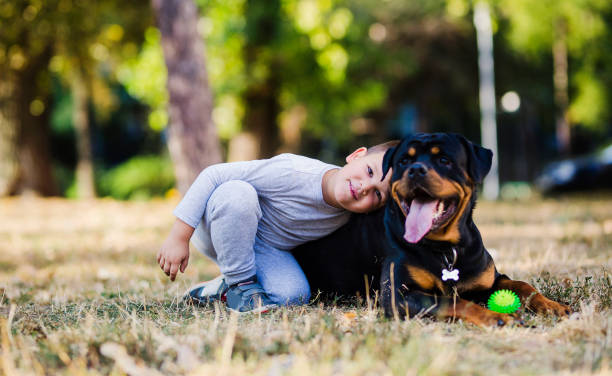istock Little boy hugging large dog 1050021182