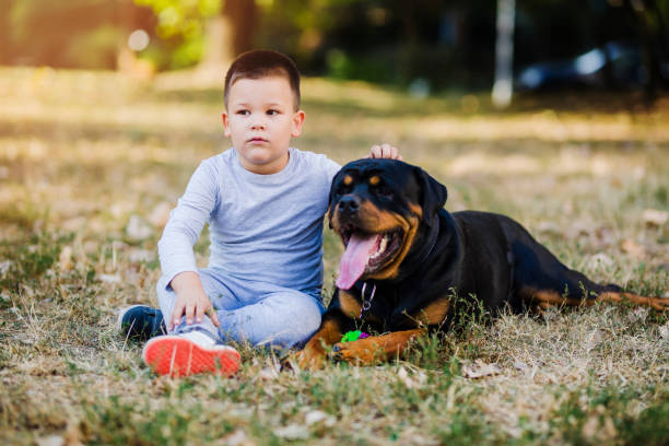 istock Little boy sitting with his dog 1050021286