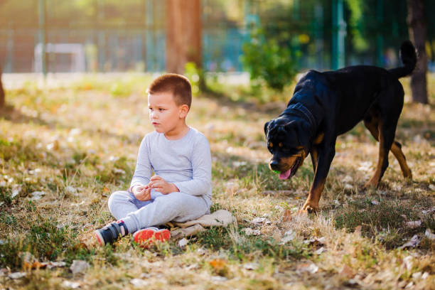 istock Boy does not want to play with his dog 1050023956