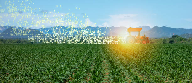 iot smart farming, agriculture in industry 4.0 technology with artificial intelligence and machine learning concept. it help to improve, categorized, specified goal, solve problem, keep goal, predict