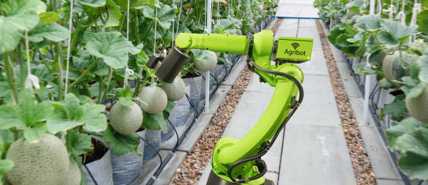 istock smart robotic in agriculture futuristic concept, robot farmers (automation) must be programmed to work to spray chemical,fertilizer or increase efficiency, growing a seed, harvesting, reduce time 1050032066