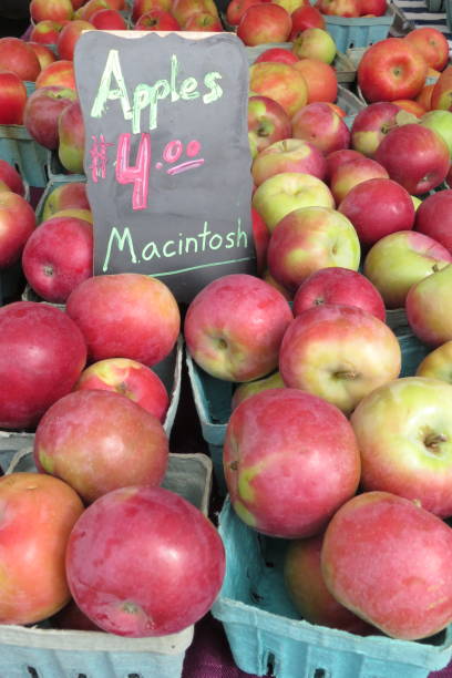 농부의 시장에서 사과 - macintosh apples 이미지 뉴스 사진 이미지