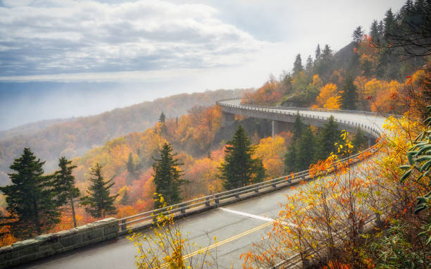 istock Linn Cove Viaduct 1050058668
