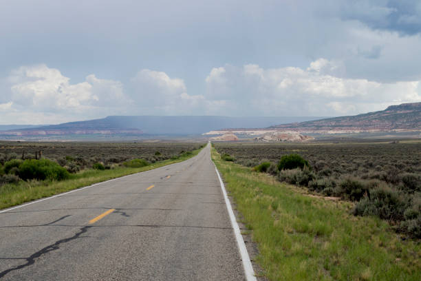 istock Desert Rain and a Lonely Road 1050067140