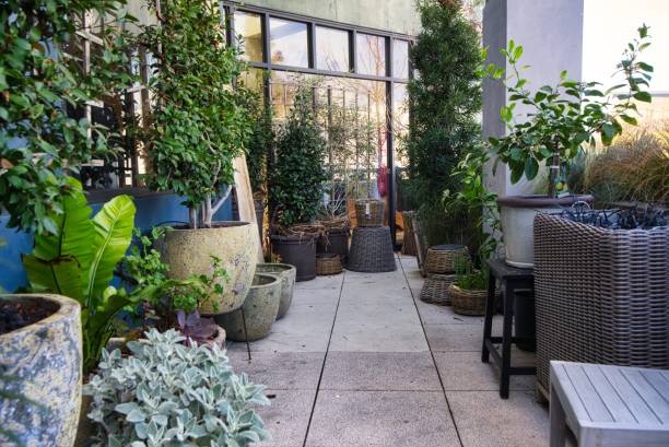 istock Beautiful Patio with Plants 1050075242