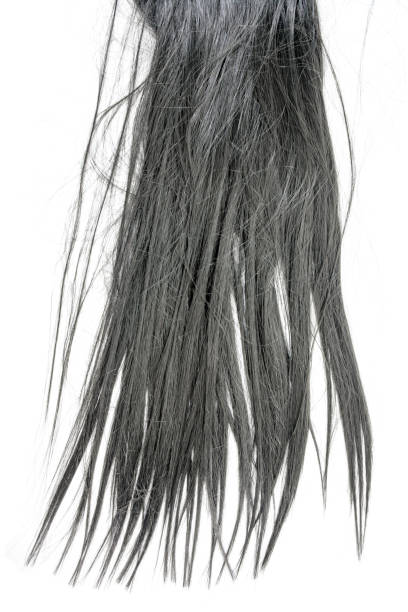 istock Vertical long black hair isolated on white background 1050080520