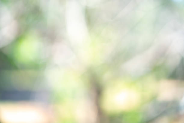 istock Blurred abstract green nature background for photo background 1050088814