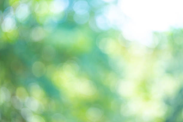 istock Blurred abstract green nature background for photo background 1050088852