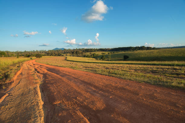 istock Dirt road in the Meadow. 1050096174