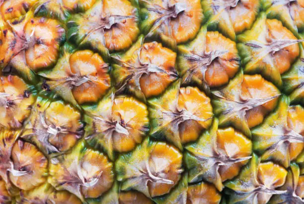 Photo of pineapple as background