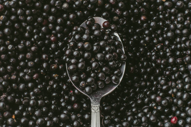 вид сверху на элдерберри или самбукус нигра в ложке на фоне многих рядов органических темных ягод - nigra стоковые фото и изображения