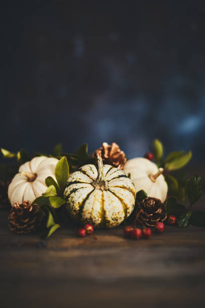 istock Thanksgiving background with pumpkin variety and berries 1050116788