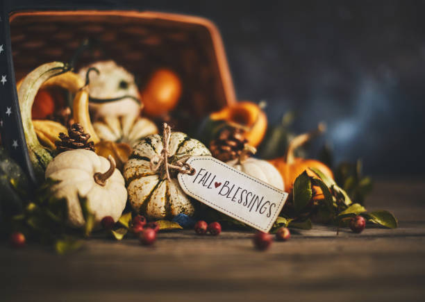 istock Pumpkin assortment still life and blessings greeting 1050117004
