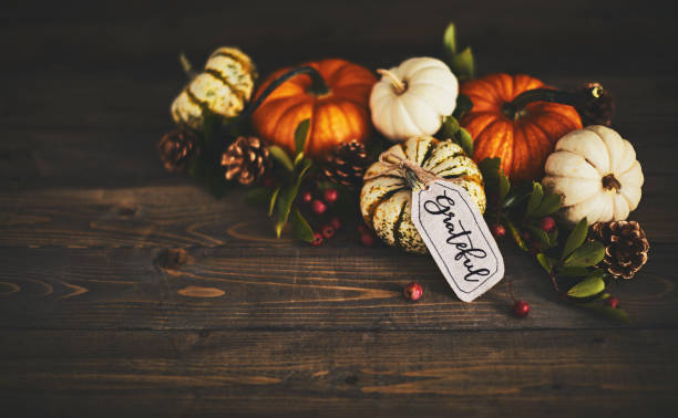 istock Pumpkin assortment still life and grateful message 1050119098