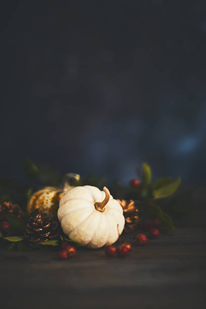istock Thanksgiving background with white and mottled pumpkin and berries 1050119308