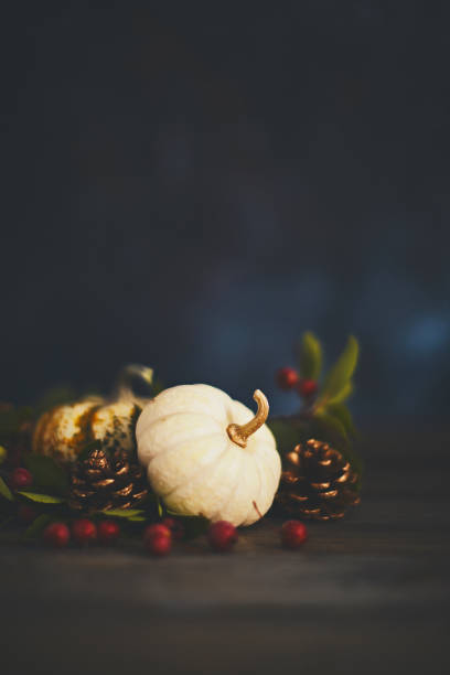 istock Thanksgiving background with white and mottled pumpkins and berries 1050119310