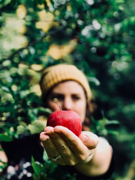 istock Growing up Snow White in The Apple Orchard 1050119390