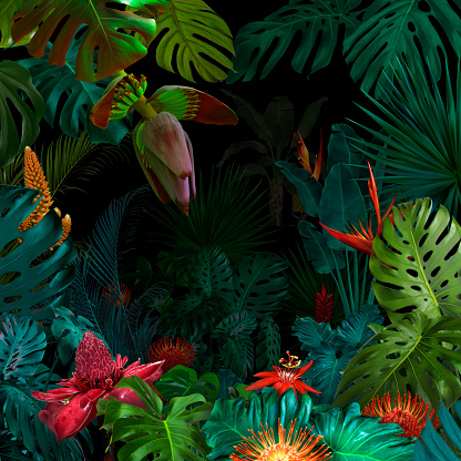 Colorful night jungle background
